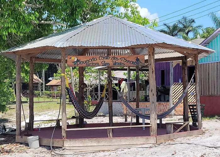 Canto Dos Passaros